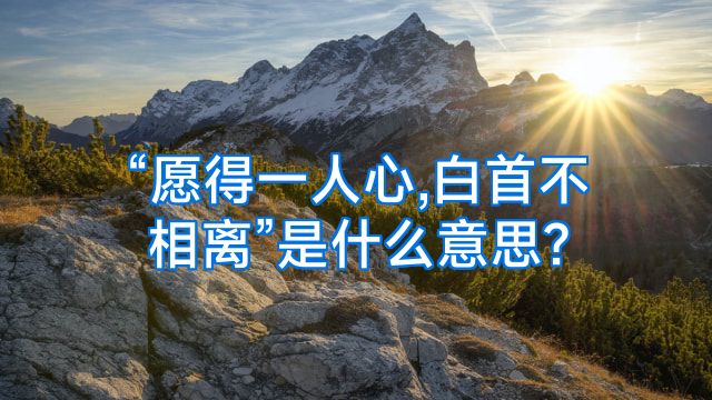 “愿得一人心,白首不相离”是什么意思?