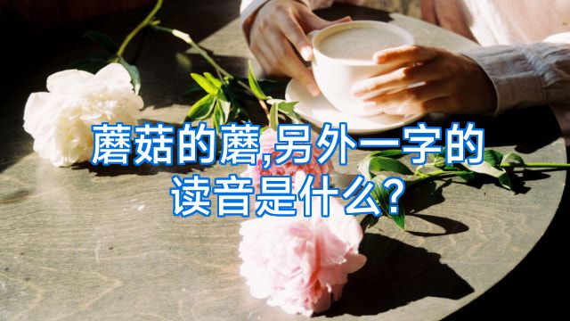 蘑菇的蘑,另外一字的读音是什么?
