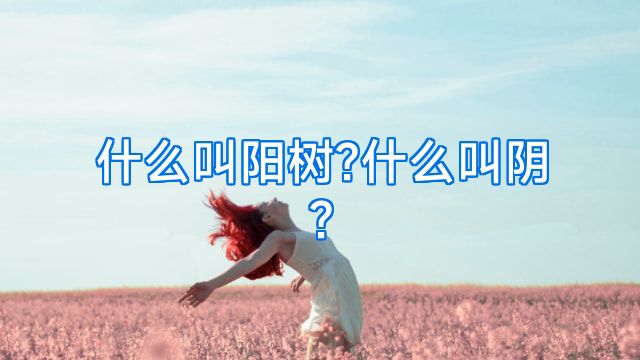 什么叫阳树?什么叫阴?