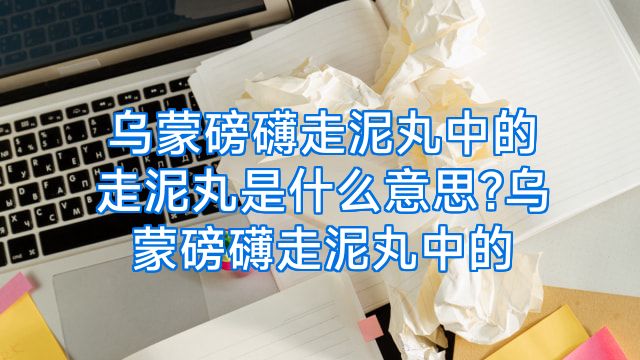 乌蒙磅礴走泥丸中的走泥丸是什么意思?乌蒙磅礴走泥丸中的