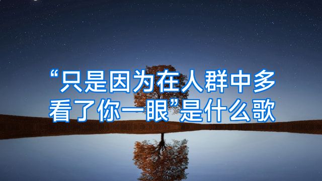 “只是因为在人群中多看了你一眼”是什么歌