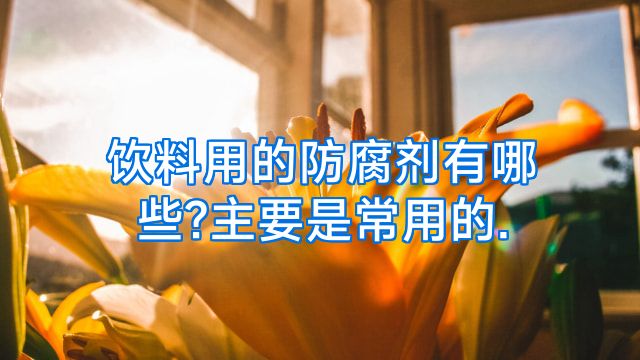 饮料用的防腐剂有哪些?主要是常用的.