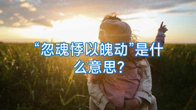 “忽魂悸以魄动”是什么意思?