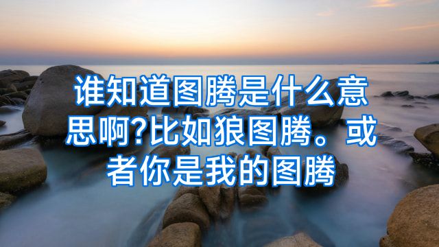 谁知道图腾是什么意思啊?比如狼图腾。或者你是我的图腾
