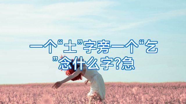 一个“土”字旁一个“乞”念什么字?急