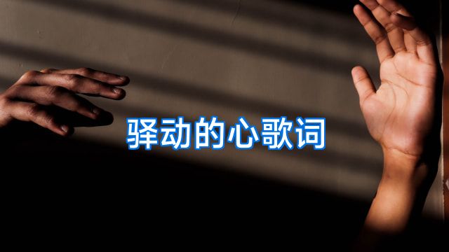 驿动的心歌词