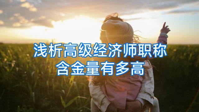 浅析高级经济师职称含金量有多高