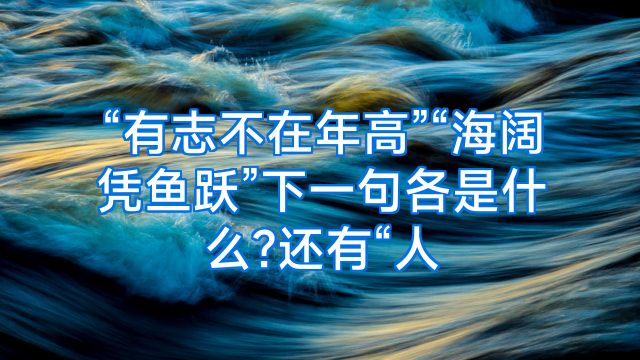 “有志不在年高”“海阔凭鱼跃”下一句各是什么?还有“人