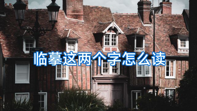 临摹这两个字怎么读