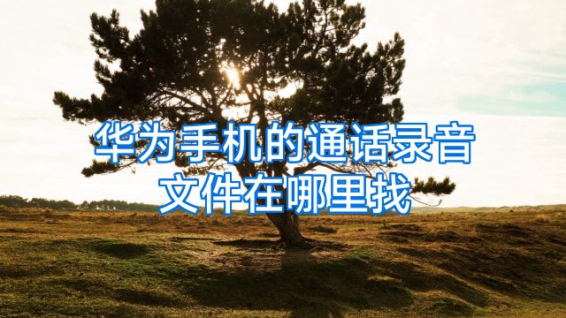 华为手机的通话录音文件在哪里找