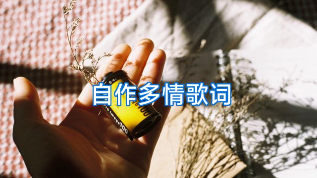 自作多情歌词