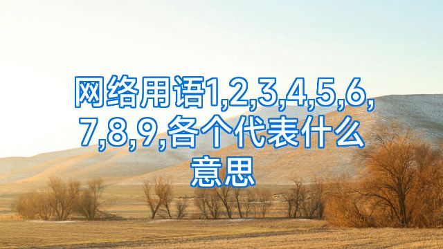 网络用语1,2,3,4,5,6,7,8,9,各个代表什么意思