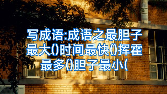 写成语:成语之最胆子最大()时间最快()挥霍最多()胆子最小(