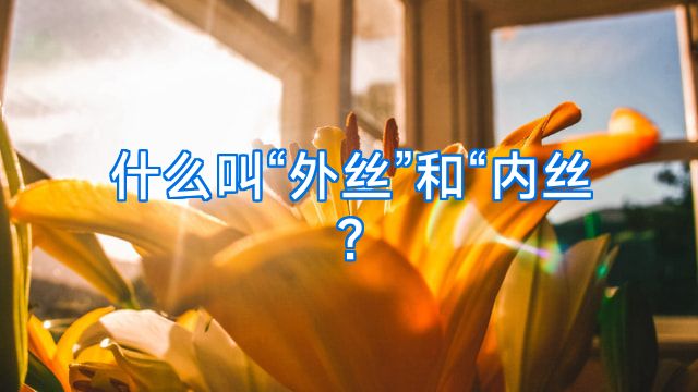什么叫“外丝”和“内丝?