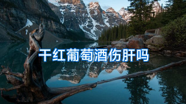 干红葡萄酒伤肝吗