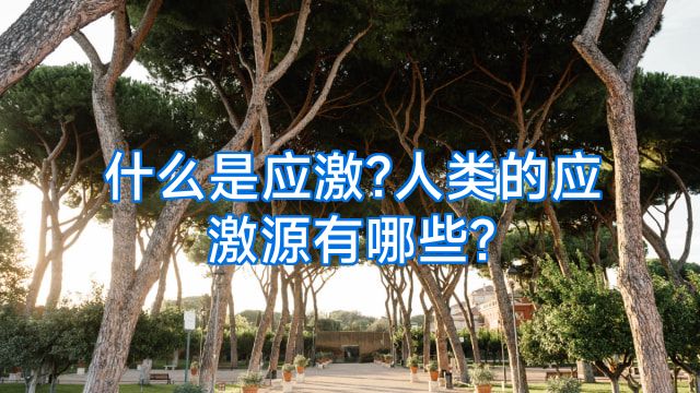 什么是应激?人类的应激源有哪些?