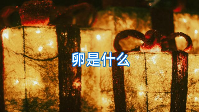卵是什么
