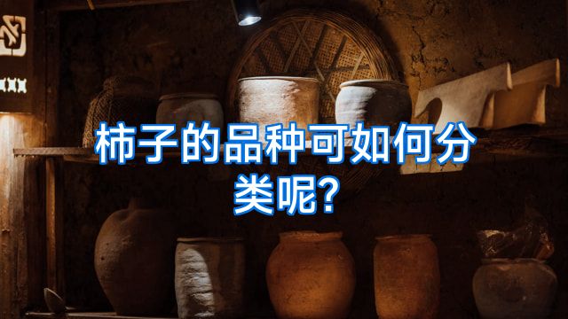 柿子的品种可如何分类呢?
