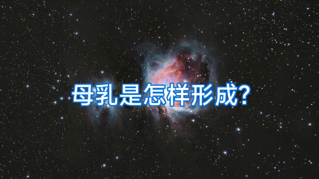 母乳是怎样形成?