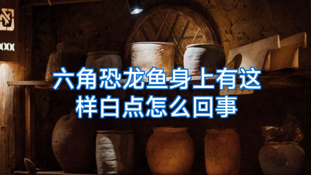 六角恐龙鱼身上有这样白点怎么回事