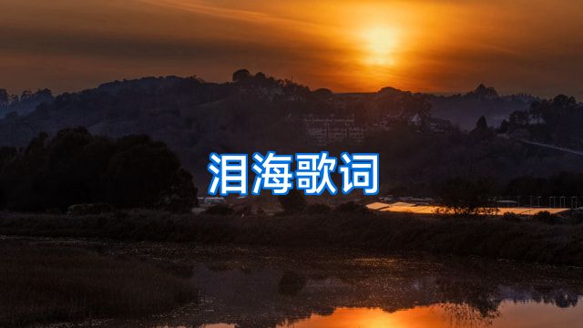 泪海歌词
