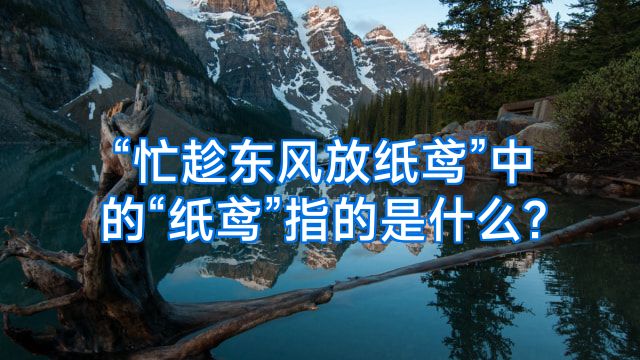 “忙趁东风放纸鸢”中的“纸鸢”指的是什么?