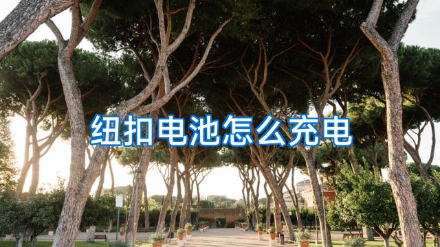 纽扣电池怎么充电