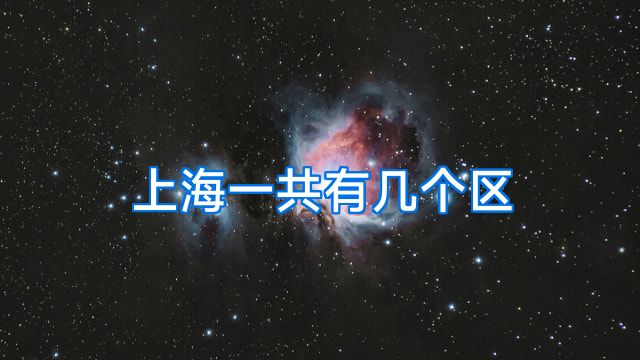 上海一共有几个区