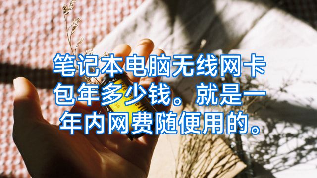 笔记本电脑无线网卡包年多少钱。就是一年内网费随便用的。