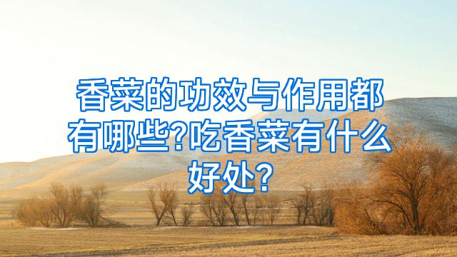 香菜的功效与作用都有哪些?吃香菜有什么好处?