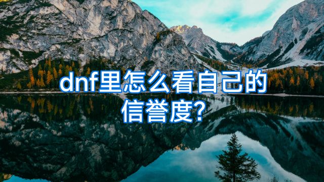 dnf里怎么看自己的信誉度?