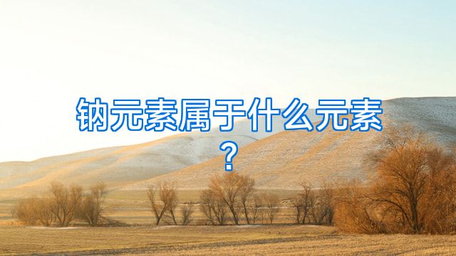 钠元素属于什么元素?