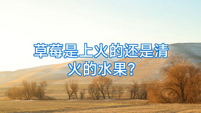 草莓是上火的还是清火的水果?