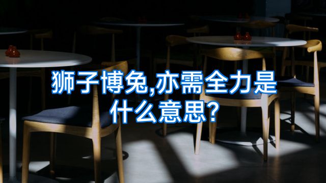 狮子博兔,亦需全力是什么意思?