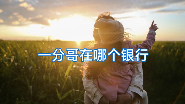 一分哥在哪个银行