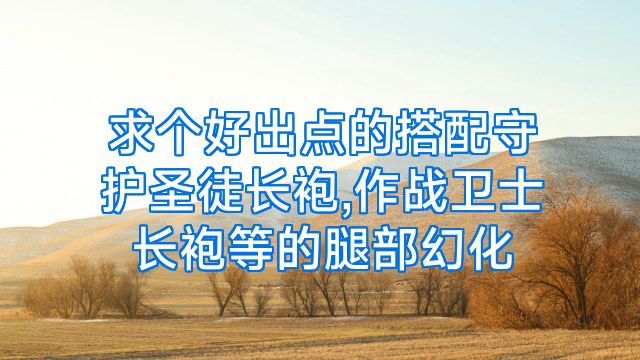 求个好出点的搭配守护圣徒长袍,作战卫士长袍等的腿部幻化