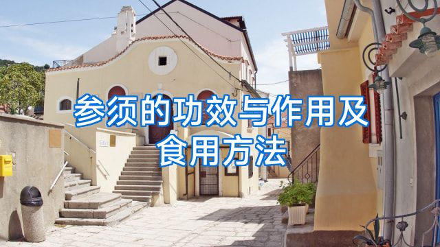 参须的功效与作用及食用方法