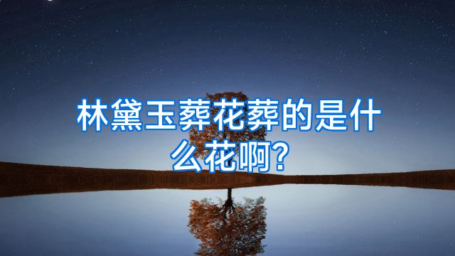 林黛玉葬花葬的是什么花啊?