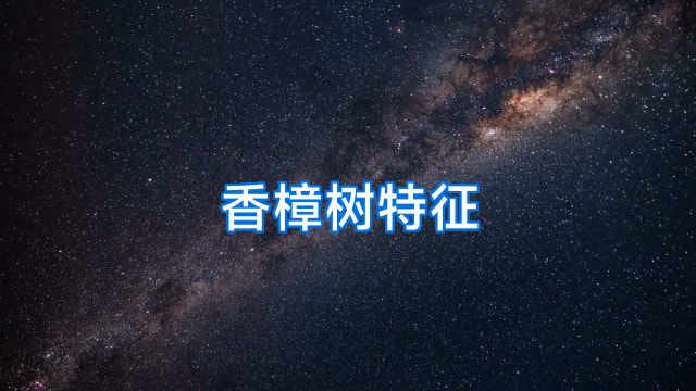 香樟树特征