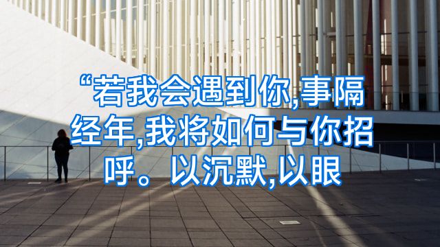 “若我会遇到你,事隔经年,我将如何与你招呼。以沉默,以眼