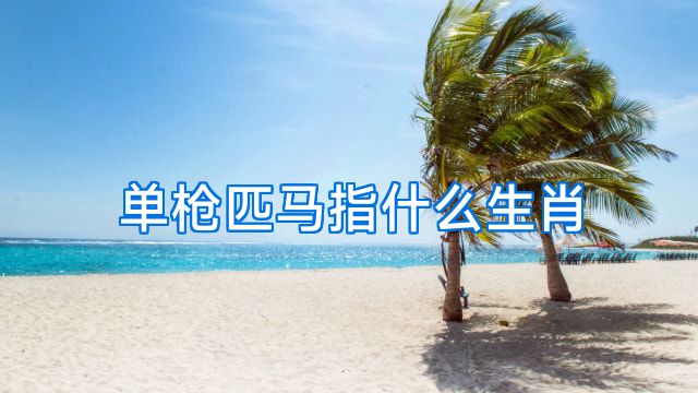 单枪匹马指什么生肖