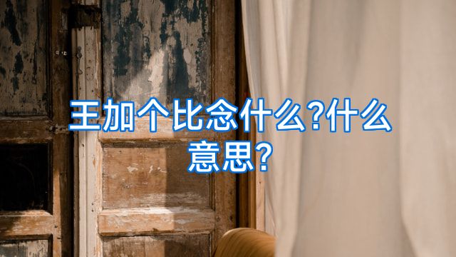 王加个比念什么?什么意思?