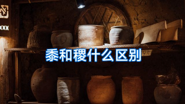 黍和稷什么区别