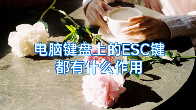 电脑键盘上的ESC键都有什么作用