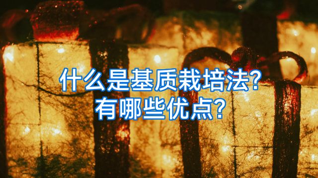 什么是基质栽培法?有哪些优点?
