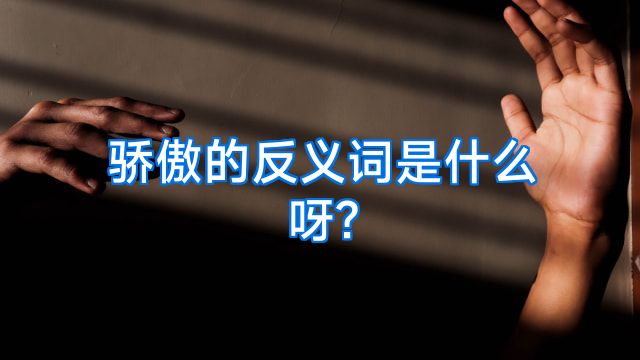 骄傲的反义词是什么呀?