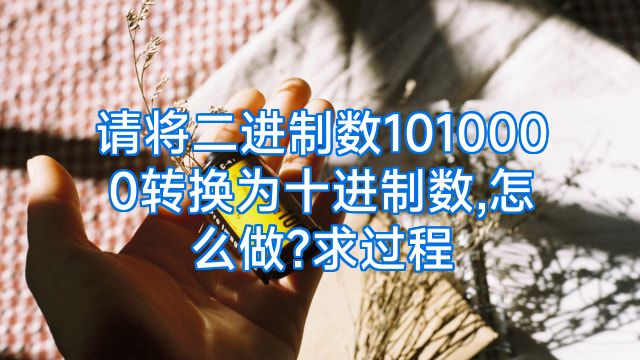 请将二进制数1010000转换为十进制数,怎么做?求过程