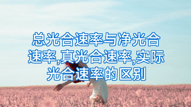总光合速率与净光合速率,真光合速率,实际光合速率的区别