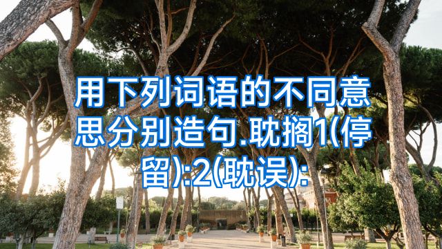 用下列词语的不同意思分别造句.耽搁1(停留):2(耽误):
