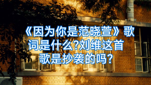 《因为你是范晓萱》歌词是什么?刘维这首歌是抄袭的吗?